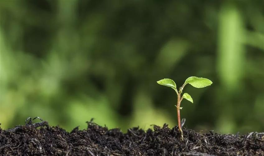 自然农法生物有机肥土壤改良新肥料作物提质好帮手