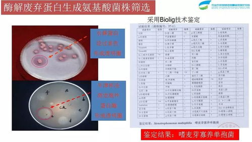 李荣 生物多样性与耕地土壤健康