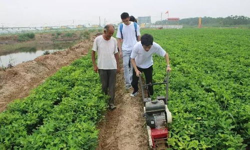 为什么农大学生都不愿做农业 谈何 乡村振兴